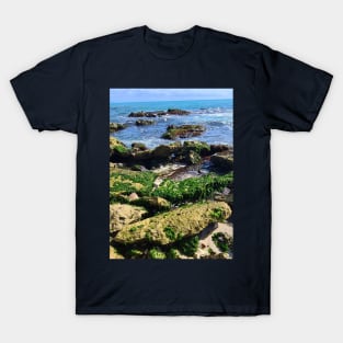 Seaweed covered rocks on the shore T-Shirt